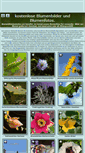 Mobile Screenshot of kostenlose-blumenfotos.de